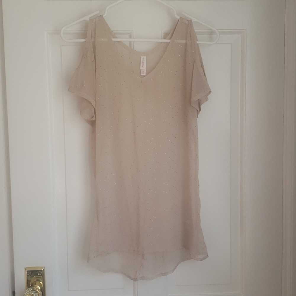 Sheer neutral top